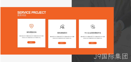 服务项目